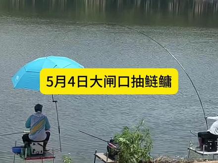 文明垂钓 爱护环境 #龙王恨浮钓鲢鳙 #渔获分享站🎣 #东荆河 #东荆河最新情况 #户外钓鱼