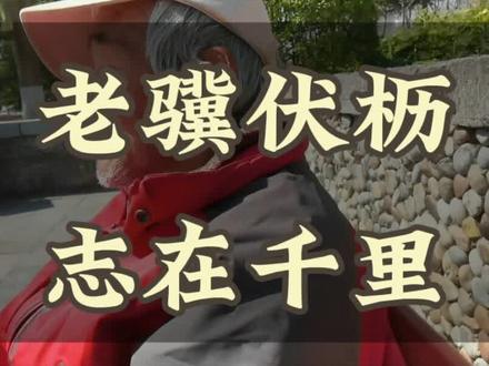 老骥伏枥,志在千里#曹操#龟虽寿