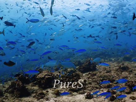 抖音神秘净化组织又来了#培养皿