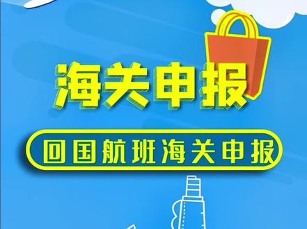回国海关申报视频版#海关申报 #回国 #夏日旅签证 #夏日旅签证机票