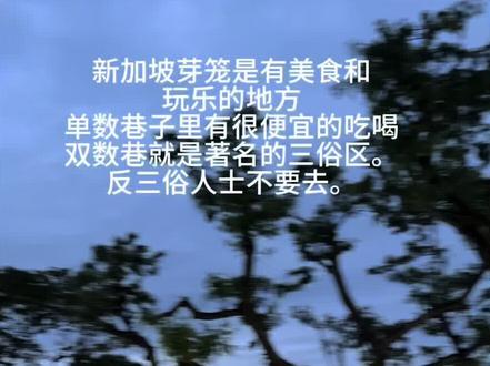新加坡,芽笼 新加坡最性价比的吃喝玩乐地“芽笼”