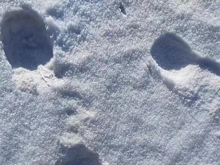 爱屋及乌,不要用自己的臆想来道德绑架你的cp#郝熠然 #云旗 #我的cp天下第一甜