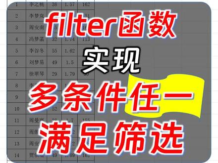 filter函数实现多条件任一满足筛选 #filter函数 #excel函数 #wps表格