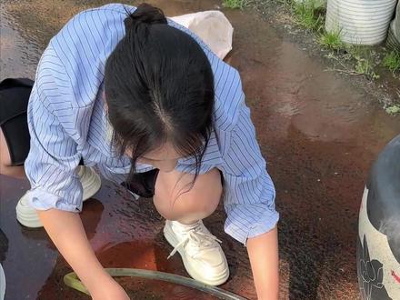 好看的古法生态缸教程来啦!#养鱼 #古法养鱼 #水族 #养鱼人