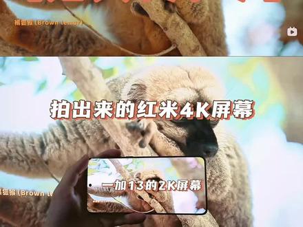 手机的2k屏幕带来的极致观感 #红米4k显示器 #一加13 #影视飓风