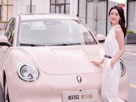 欧拉好猫功能介绍#欧拉好猫 #欧拉 #适合女生开的车