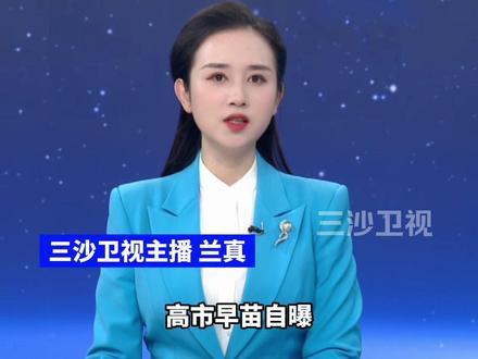 迟到近1小时!高市早苗自曝G20峰会花数小时挑衣服(环球时报)