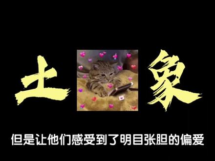 理智的土象星座始终在平衡着生活与感情的节奏,对于爱,他们需要的不是最终的答案,而是坚定爱下去的理由#土象 #土象星座