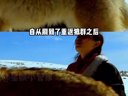 重返狼群书籍版到底怎么选 #格林 #李微漪 #重返狼群 #感动