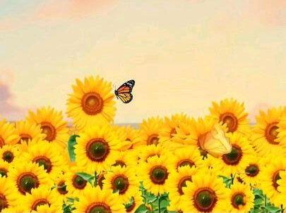 西咸黄冈学校小学部期末献礼MV #mv #期末 #学校 #西咸新区黄冈泾河学校