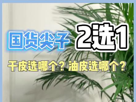 平价补水国货面膜对比测评,二选一,哪个更靠谱。#米蓓尔蓝绷带面膜 #可复美涂抹面膜 #国货护肤