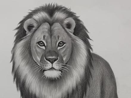 教大家画简单又好看的狮子🦁 #素描 #零基础学画画 #狮子教程 #素描笔迹 #绘画