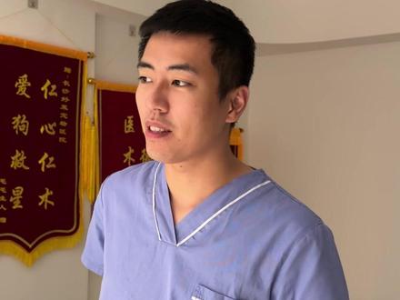 办理狗证的全过程 #狗证 #宠物医院