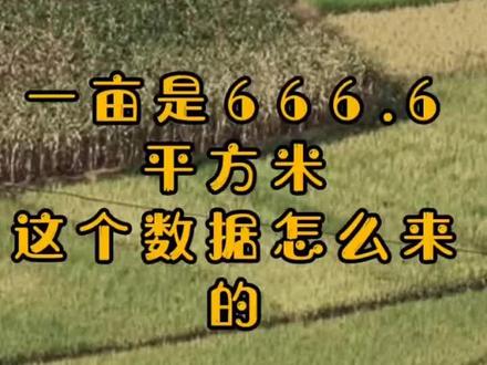 一亩地是祖国的平方公里,也是父母的心里面积。