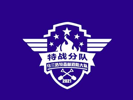消防队特战分队徽章logo设计,献给武警战士#logo设计 #消防