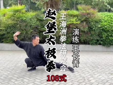 赵堡太极拳 赵堡太极拳108式
#太极拳