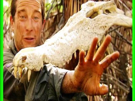 贝爷这饿货刚吃完嘎嘣脆的烤辣条,又盯上了一吨重的史前巨鳄 #荒野求生 #野外生存 #野外生活纪录片 #贝爷 #荒野达人