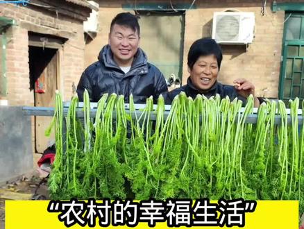 “农村的幸福生活”丈母娘竟然用“古董”腌制
“辣菜英子”女婿看到后...居然两眼放光要拿去换排骨#农村生活 #记录真实生活 #美食 #生活的烟火气息 #我的乡村生活