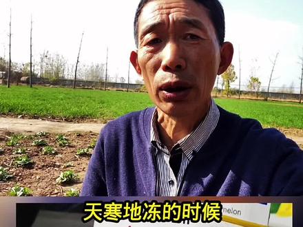 十月二十五日晴,皮匠婆穿金戴银!什么意思呢?农谚分享#农耕文化 #民俗文化 #传统文化 #传承文化 #三农计划2022 @DOU+小助手