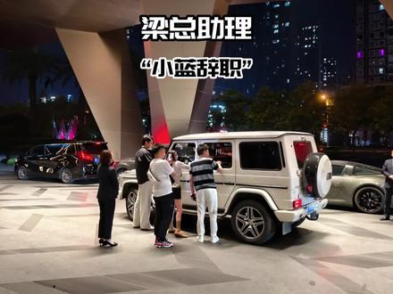 梁总来了助理小蓝确定离职!