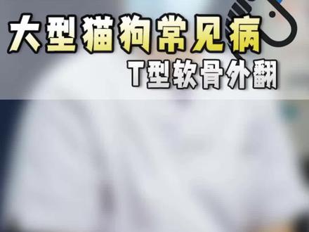 大型猫狗常见的遗传性疾病——T型软骨外翻。#宠物医院 #江阴 #大型犬 #科普