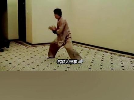 四大金刚之一#陈正雷 演示#推手 #一招制敌 #传统武术 #名家太极拳