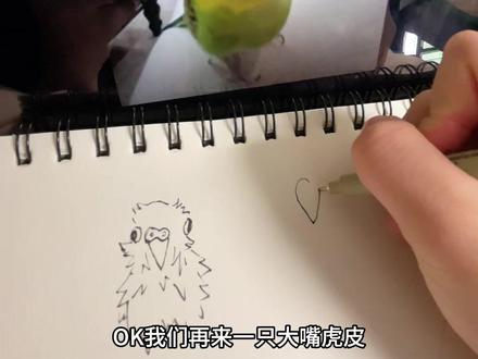 画得丑?正常操作罢了 #鹦鹉画画 #手养鸟 #小鸡 #虎皮鹦鹉 #我和毛孩子的第n年