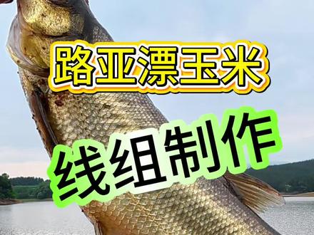 线组制作,新手必看。路亚漂玉米。一镜到底。#路亚漂玉米 #助抛器漂玉米 #钓鱼必备技巧 #钓鱼新钓法 #分享钓鱼实用小技巧