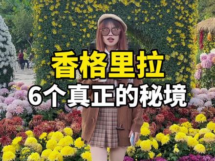 很多人去香格里拉,就去虎跳峡看看金沙江、逛逛独克宗古城 转转转经筒就回去了,其实这些地方也值得一去。#云南旅游攻略