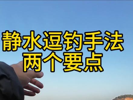 主播的泡沫逗钓静水提逗手法分享。#钓鱼技巧 #泡沫逗钓 #钓鱼教学 #钓鱼 #真实生活分享计划