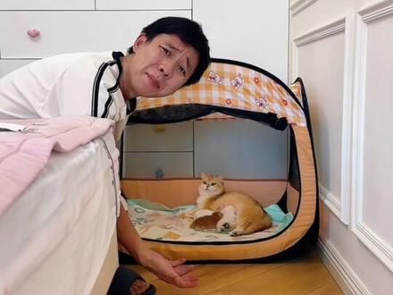 爸爸造的猫咪乐园可把糖宝和小猫们高兴坏了!#领先海陆双拼猫粮#萌娃和萌宠 #铲屎官日记