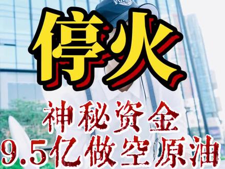 停火 停火前三个小时,神秘资金做空原油#财经#经济#原油