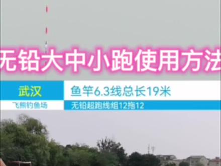 简单聊聊无铅大中小跑#黑坑青鱼 #无铅钓法