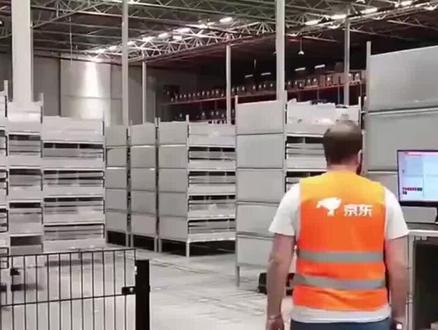 京东巴黎仓库被洗劫3个亿 #京东 #巴黎