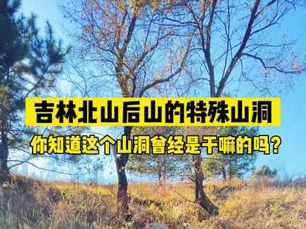 #历史古迹 #吉林 #历史 吉林市北山后面的山发现一个特殊时期的洞,已经被人填埋了洞口,有知道这是做什么的吗?#吉林记忆 #儿时记忆 #怀旧