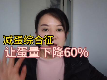养鸡新手必须要提前预防减蛋综合征不然减产60%左右#养殖 #科学养鸡#养鸡技术