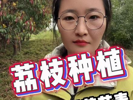 荔枝保果用芸苔素 还是用920更好 #荔枝#荔枝种植#三农#种植小技巧#保果