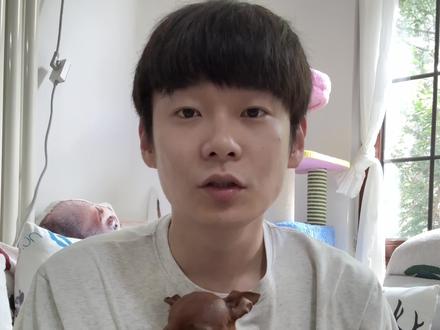 最近爆火的表情包到底是吉娃娃还是小鹿狗?
#迷惑行为大赏 #萌宠 #狗狗