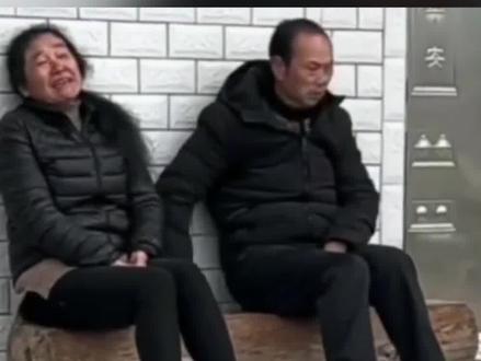 警方辟谣胡鑫宇为熊猫血