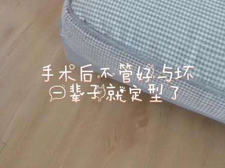 福宝是大家的宝,你们的意见呢?#关爱流浪动物 #流浪动物救助 #大橘为重