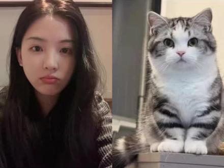 好有爱好喜欢,和猫咪相拥合照ai指令教程来啦!#豆包 #豆包ai #豆包P图已经nextlevel了#和宠物合照#和宠物合照指令和猫咪合照 和自家萌宠