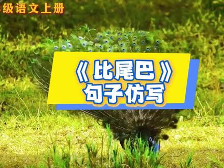 一年级语文上册《比尾巴》课后习题仿写句子#一年级语文上册 #谁的尾巴最好看 #比尾巴 #句子仿写