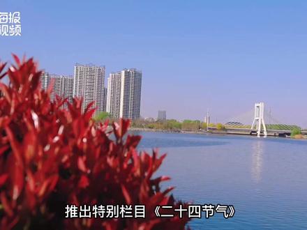 二十四节气·清明 | 既是节气又是节日 欢愉与追思同存