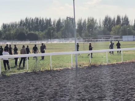 博乐马继续加油😁#爱马 #小骑手 #骑马看世界