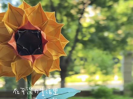就把向日葵送给莘莘学子!那就一定夺魁喽!#亲手制作礼物 #创作者中心 #创作灵感 #手工 #向日葵