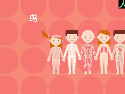 一起来走进八年级上册生物,一起来了解一下鸟类吧!#思维导图 #学习方法 #知识点总结 #初中学习方法 #全科知识精准学习