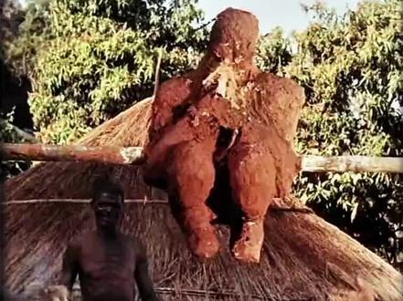 #视频剪辑#恐怖小短片@抖音小助手 @DOU+小助手