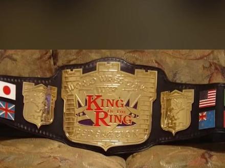 仅出现过一次的WWE冠军腰带! #wwe
