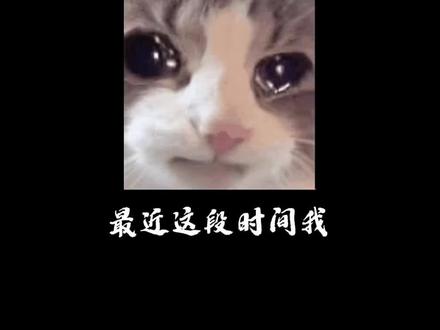 等着吧泡沫就在今明两年破裂。我的分享不构成任何投资建议 仅供参考#纳斯达克指数 #etf #黄金 #这是一个悲伤的故事