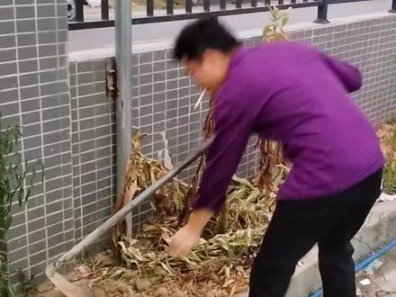 这个捞仔好勤力#是时候展现真正的技术了